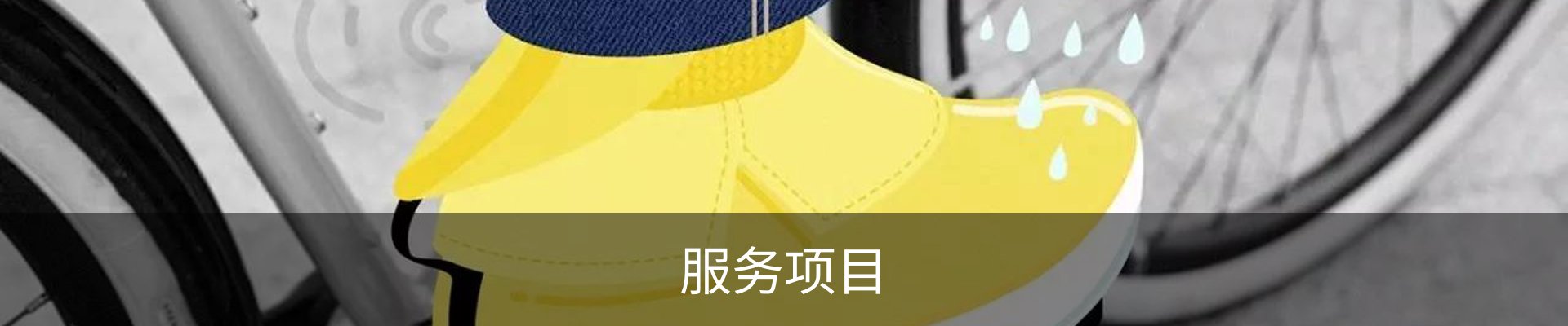 服务项目