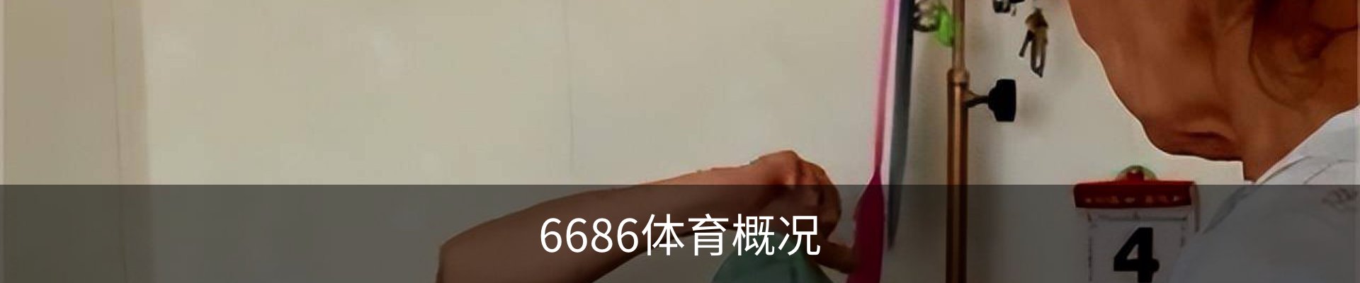 6686体育概况
